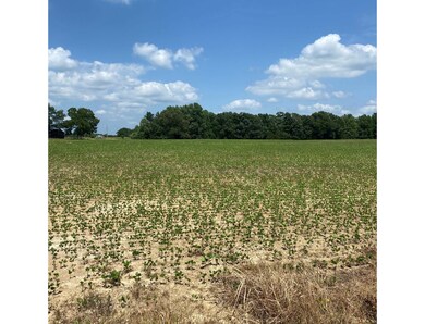 0 Salem Minor Hill Rd unit RTC2397898, Minor Hill, TN 38473 - photo 3