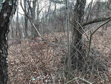 0 Fairview St unit 400667, Bland, VA 24315 - photo 5