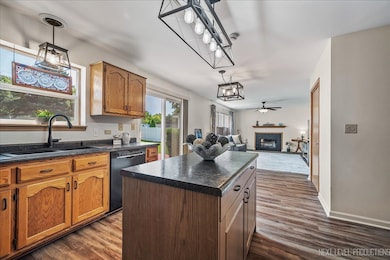 16453 Timberview Dr, Plainfield, IL 60586 - photo 7