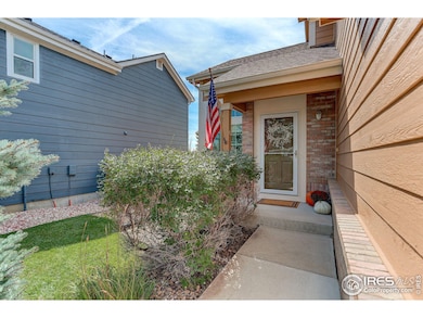 5605 Mount Sanitas Ave, Longmont, CO 80503 - photo 5