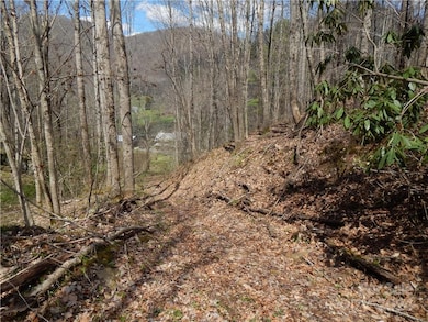 00 Gentry Farm Rd, Spring Creek, NC 28743 - photo 4