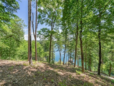 703 Misty Dawn Ct, Salem, SC 29676 - photo 3