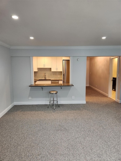 1 Bengeyfield Dr unit 2G, East Williston, NY 11596 - photo 7