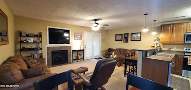 1003 Woullard Way unit 1, Sevierville, TN 37876 - photo 7