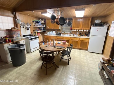 6095 County Road 23, Louin, MS 39338 - photo 6