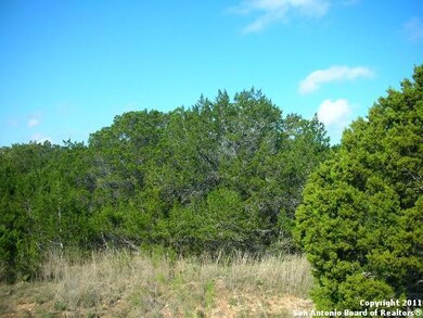 23019 Central Prairie, Cross Mountain, TX 78255 - photo 4