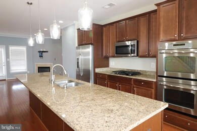 25096 Green Mountain Terrace, Aldie, VA 20105 - photo 7