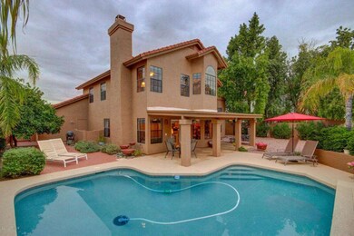 Back Yard 1