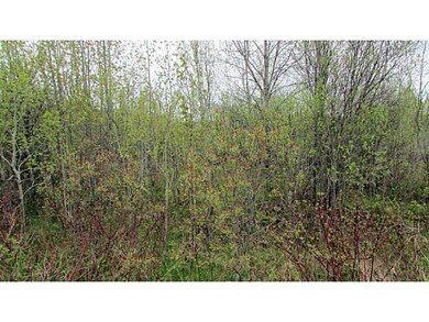 Land/Lot.