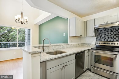 11719 Summerchase Cir unit 1719-E, Reston, VA 20194 - photo 4