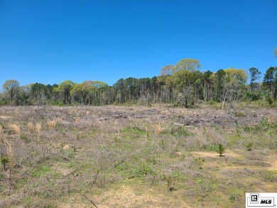 0 Highway 144 unit Highway 556, Choudrant, LA 71277 - photo 4