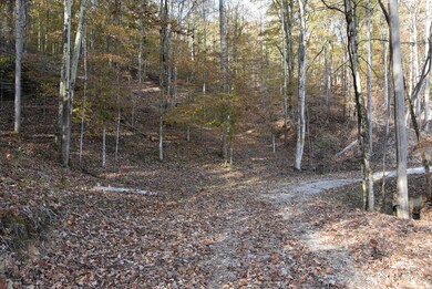 740 Harmon Rd, Somerset, KY 42501 - photo 7