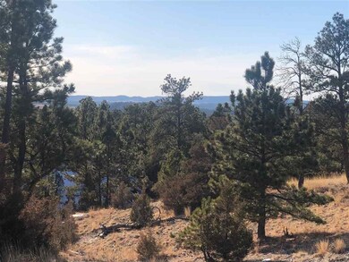 Big Sky 9 Elk Run Rd unit Canyon Rim Ranch, Custer, SD 57730 - photo 5