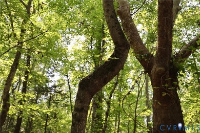 0 Bellevue Rd unit 2526138, Halifax, VA 24588 - photo 3