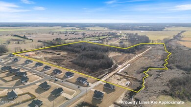 0 Summer Ln unit 4133637, Senatobia, MS 38668 - photo 3