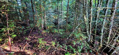 0 Alder 4