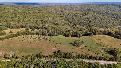 00 Golden Run Ln, Alpine Township, MO 65747 - photo 4