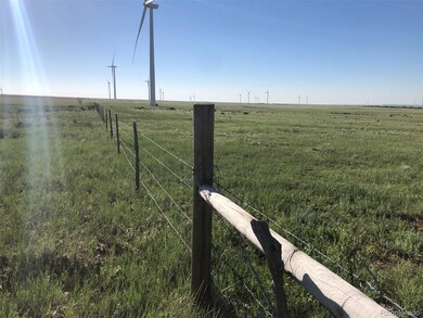 0003 Calhan Hwy, Calhan, CO 80808 - photo 5