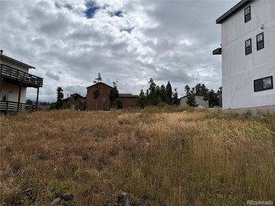 0816 Wapiti Dr, Fraser, CO 80442 - photo 3