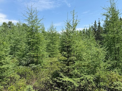 TBD Arkola Rd E, Kelsey, MN 55724 - photo 7