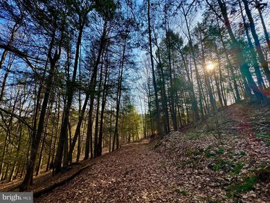 Lot 30 Wild Flower Way, Albright, WV 26519 - photo 5