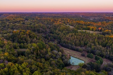 3345 Pigeon Roost Rd, Pulaski, TN 38478 - photo 3