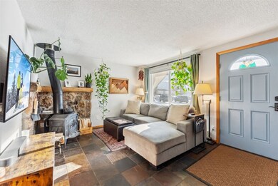 342 W 4th St unit 342, Silverthorne, CO 80498 - photo 2