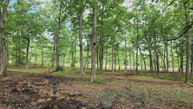 0 Fredonia Rd unit RTC2658031, Manchester, TN 37355 - photo 7