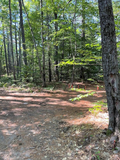 0 Duncan Lake Rd unit MAP 123/56 4917931, Ossipee, NH 03864 - photo 7