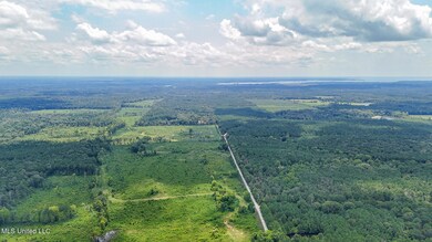 532 Ratliff Ferry Rd, Canton, MS 39046 - photo 6