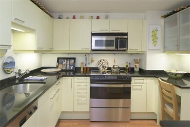 Ten Ten Memorial Drive unit 9E, Cambridge, MA 02138 - photo 5