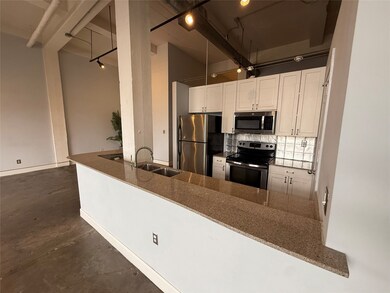 915 N San Jacinto St unit 1D, Houston, TX 77002 - photo 5