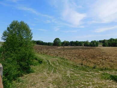 LOOKING OVER A PORTION OF THE APPROXIMATELY 41 ACRES