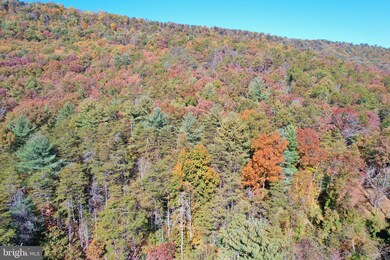 0 Liberty Furnace Rd unit VASH2004718, Edinburg, VA 22824 - photo 4