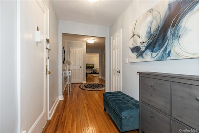 6 Wooleys Ln unit B-34, Great Neck, NY 11023 - photo 5