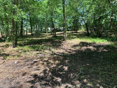 0 Highway 6 E unit 37159551, Alvin, TX 77511 - photo 3