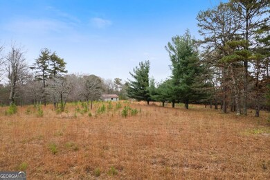 4176 State Line Rd, Menlo, GA 30731 - photo 5