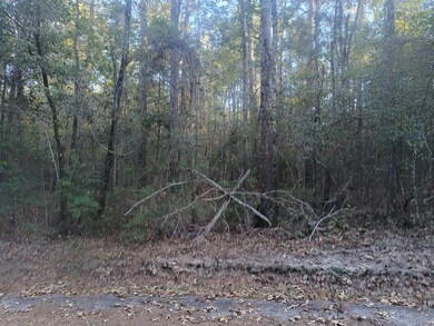 NHN Triangle Dr, Laurel, MS 39443 - photo 4