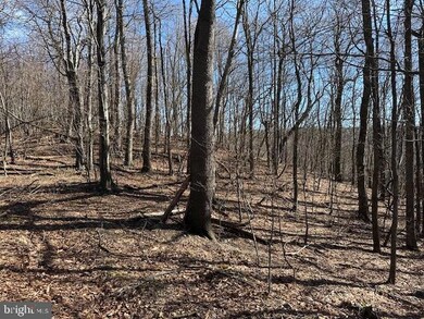 18.08 AC Bear Ridge Rd, New Creek, WV 26743 - photo 6