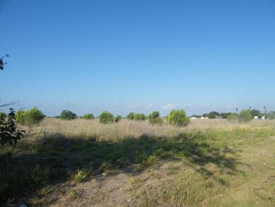 000 E Ridge Rd, Alamo, TX 78516 - photo 4