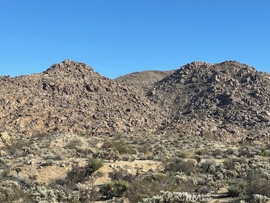 7085 Alturas Dr, Joshua Tree, CA 92252 - photo 3