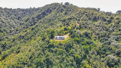 1 Carretera 7737 unit 1, Cayey, PR 00736 - photo 2