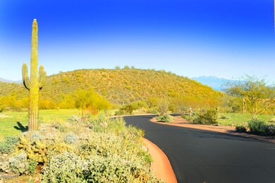 R-Lot#31 Desert Tortoise Trail-Eagles Ne