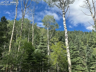 View from the build site