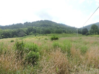 TBD Green Leaf Rd, Burnsville, NC 28714 - photo 3