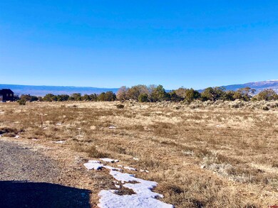 Lot 9 Summit Ct, Cedaredge, CO 81413 - photo 2