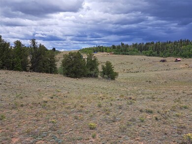 900 Remington Rd, Jefferson, CO 80456 - photo 6