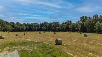 Tract 3 Greene 726 Rd, Paragould, AR 72450 - photo 6