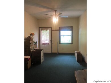 701 S Cass St, Virginia, IL 62691 - photo 7