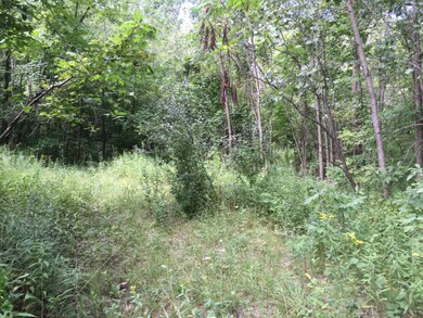 6941 Youngren Rd, Chikaming Township, MI - photo 2